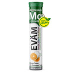 Magnesium + B-Komplex Brausetabletten, EVÄM