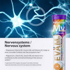 EVÄM Multivitamin + Mineralien Brausetabletten – 12in1 aus Vitaminen & Mineralstoffen