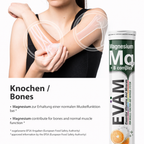 Magnesium + B-Komplex Brausetabletten, EVÄM