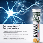 Magnesium + B-Komplex Brausetabletten, EVÄM
