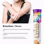 EVÄM Multivitamin + Mineralien Brausetabletten – 12in1 aus Vitaminen & Mineralstoffen