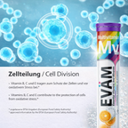 Multivitamin Brausetabletten, Kombination aus 10 Vitaminen
