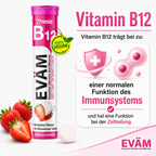 EVÄM Vitamin B12 trägt zu einer normalen Funktion des Immunsystems bei und hat eine Funktion bei der Zellteilung