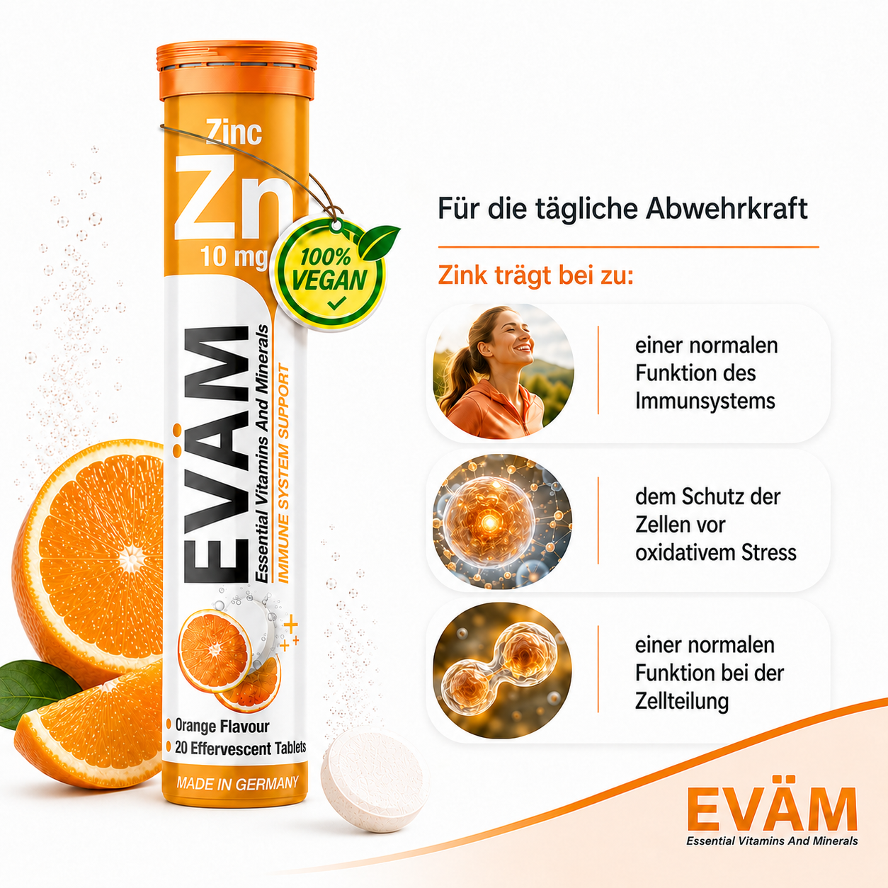EVÄM Zink 10 mg infographic showing zinc contribution to immune system function, oxidative stress protection and cell division.