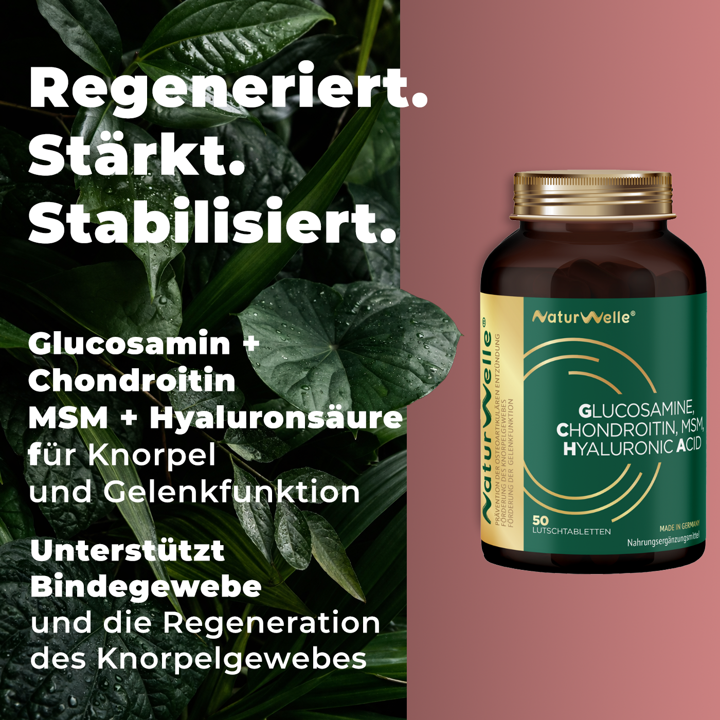 GLUCOSAMINE CHONDROITIN - MSM HYALURONIC ACID