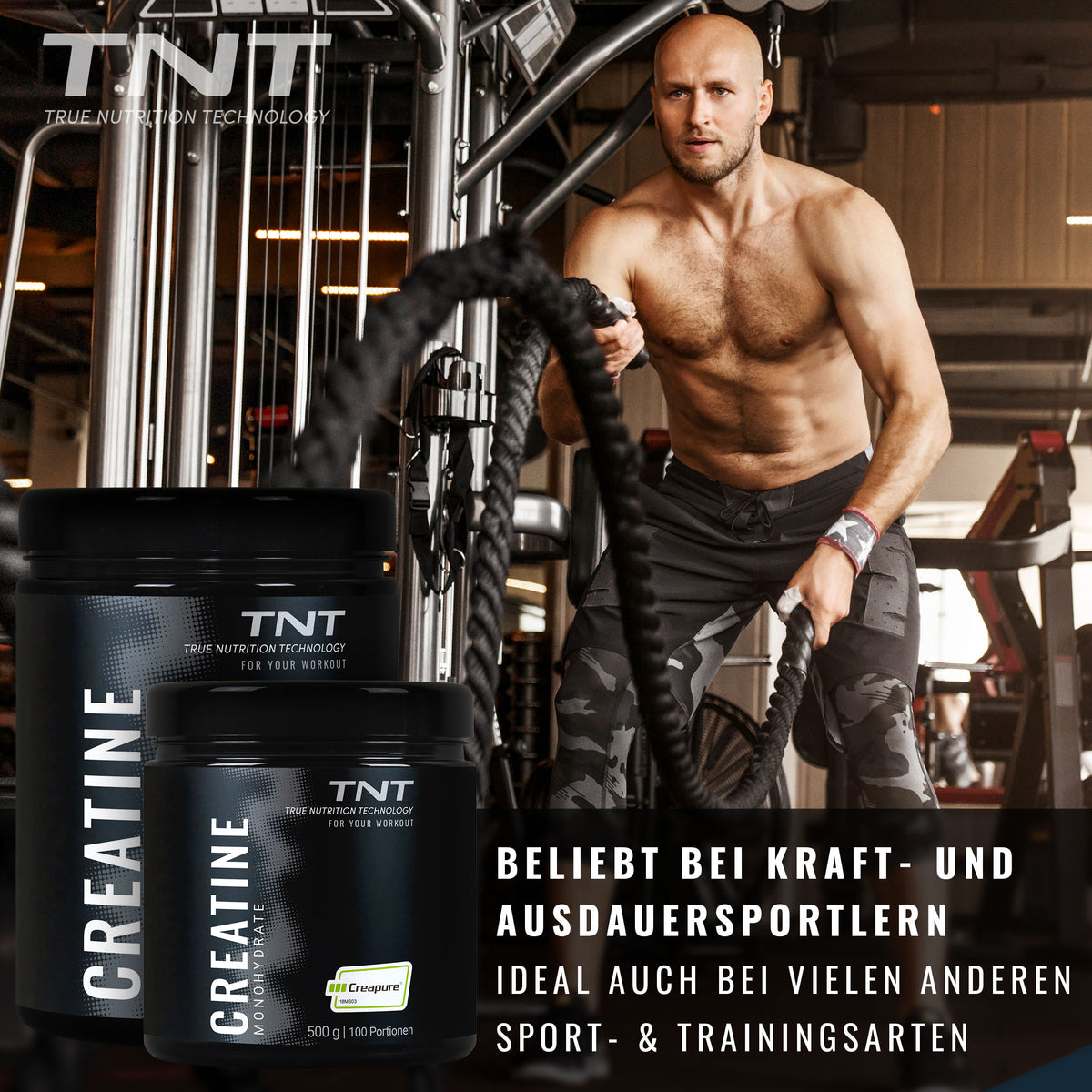 TNT Creatine Monohydrate Dosen im Trainingsumfeld