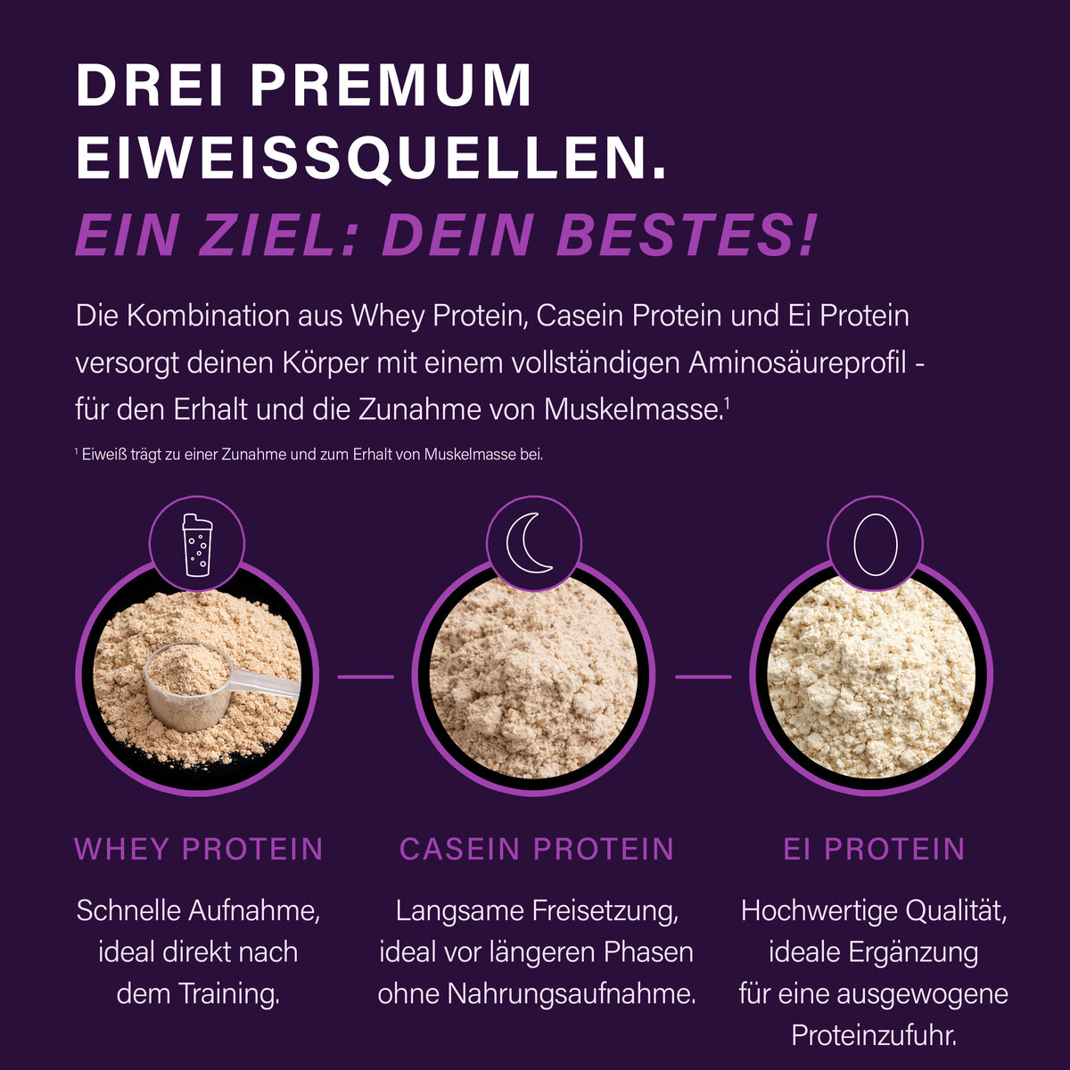 TNT Kombo Protein 900 g – Mehrkomponenten-Protein aus Whey, Casein und Ei