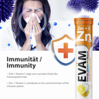 Zink + Vitamin C Brausetabletten