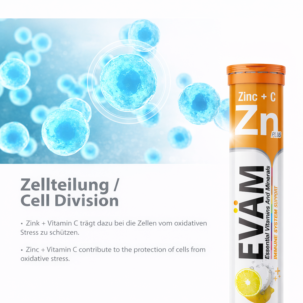 Zink + Vitamin C Brausetabletten
