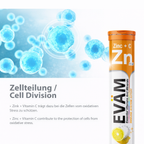 Zink + Vitamin C Brausetabletten