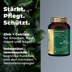 NaturWelle Zinc Picolinate – Produktdarstellung mit Verpackung.